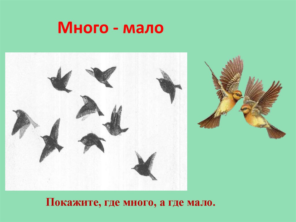 Много - мало