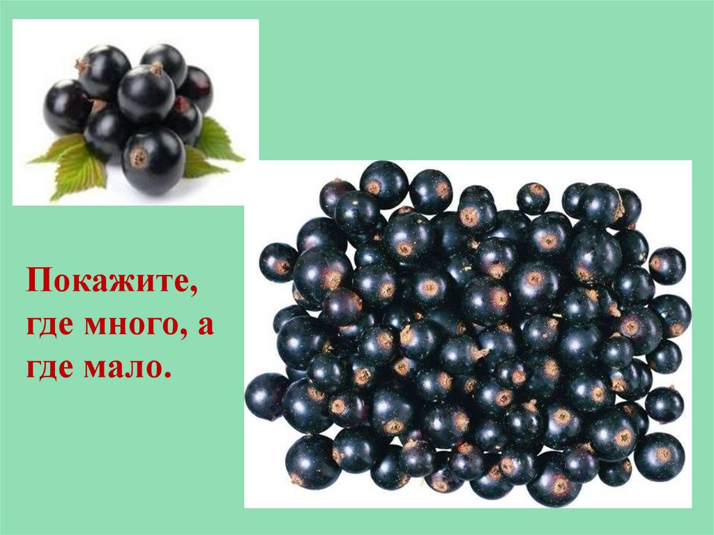 Немного несколько. Много мало. Один много ягоды. Ягоды один много для дошкольников. Один много мало.