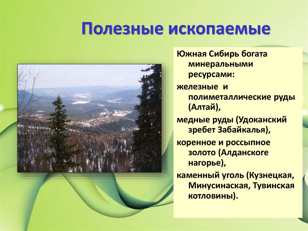 Природа и ресурсы юга сибири. Сибирь презентация. Горы Южной Сибири полезные ископаемые.