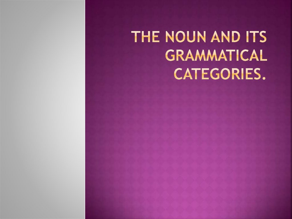 the-noun-and-its-grammatical-categories