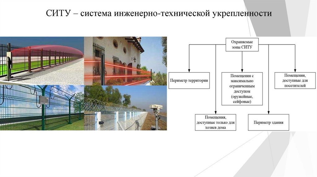 Иноязычная лексика засорение или обогащение современного русского языка презентация