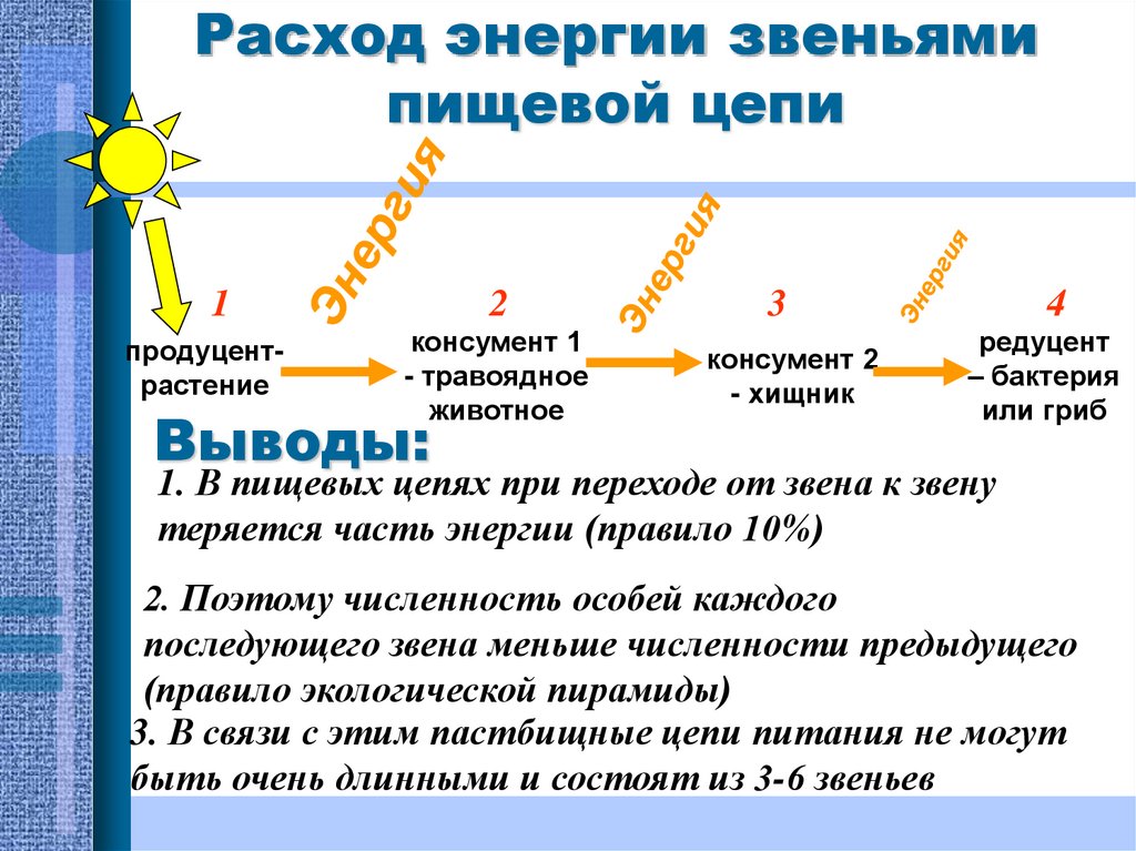 Цепи презентация