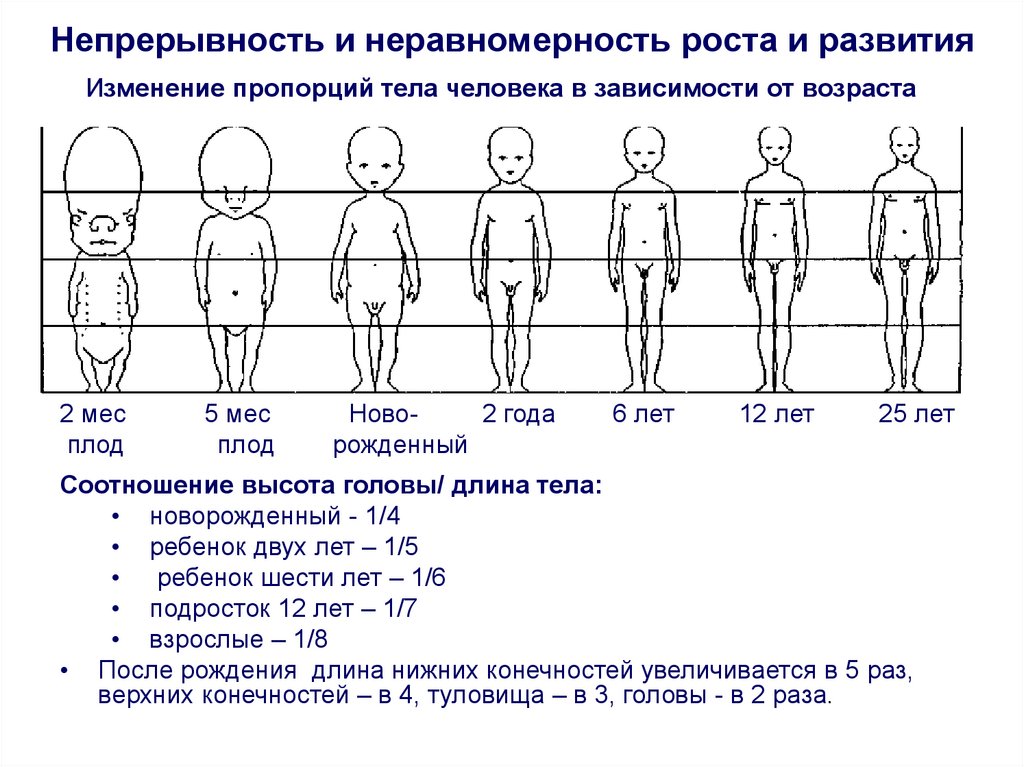 Презентация рост и развитие ребенка