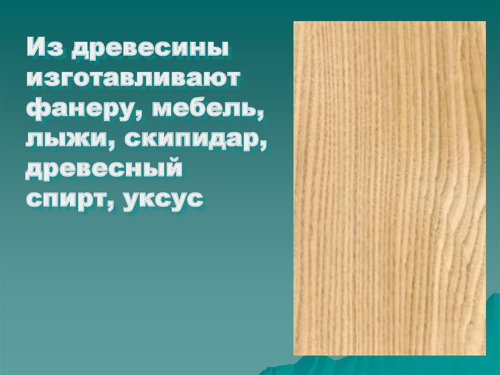 Вагнер береза презентация 4 класс