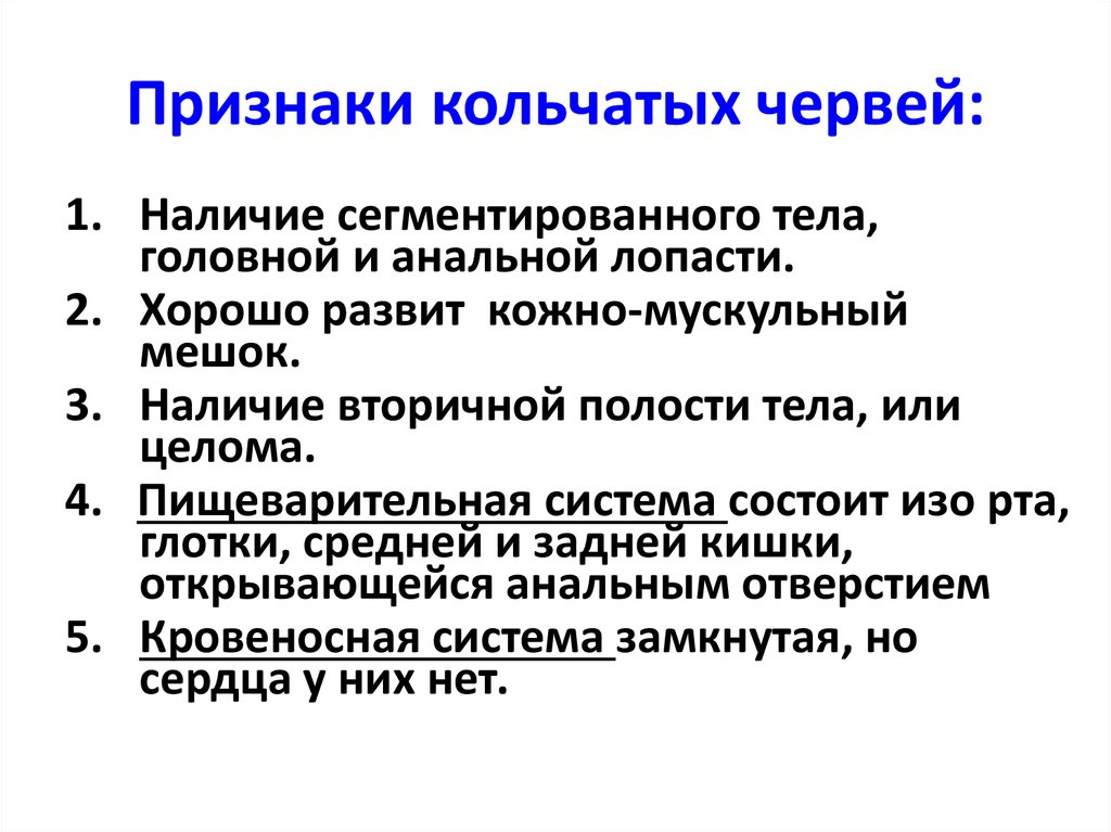 Признаки кольчатых червей: