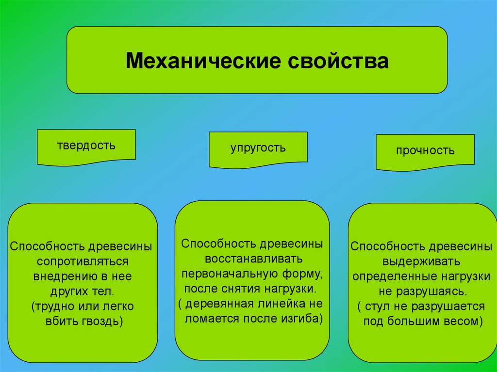 Свойства древесины презентация