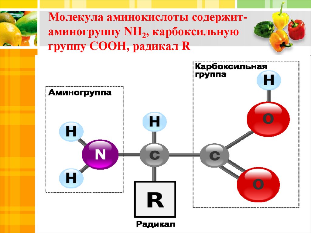 Аминокислоты аминогруппа карбоксильная группа. Схема строения молекулы аминокислоты. Аминокислоты структура молекулы. Молекула аминокислоты. Строение молекулы аминокислоты.