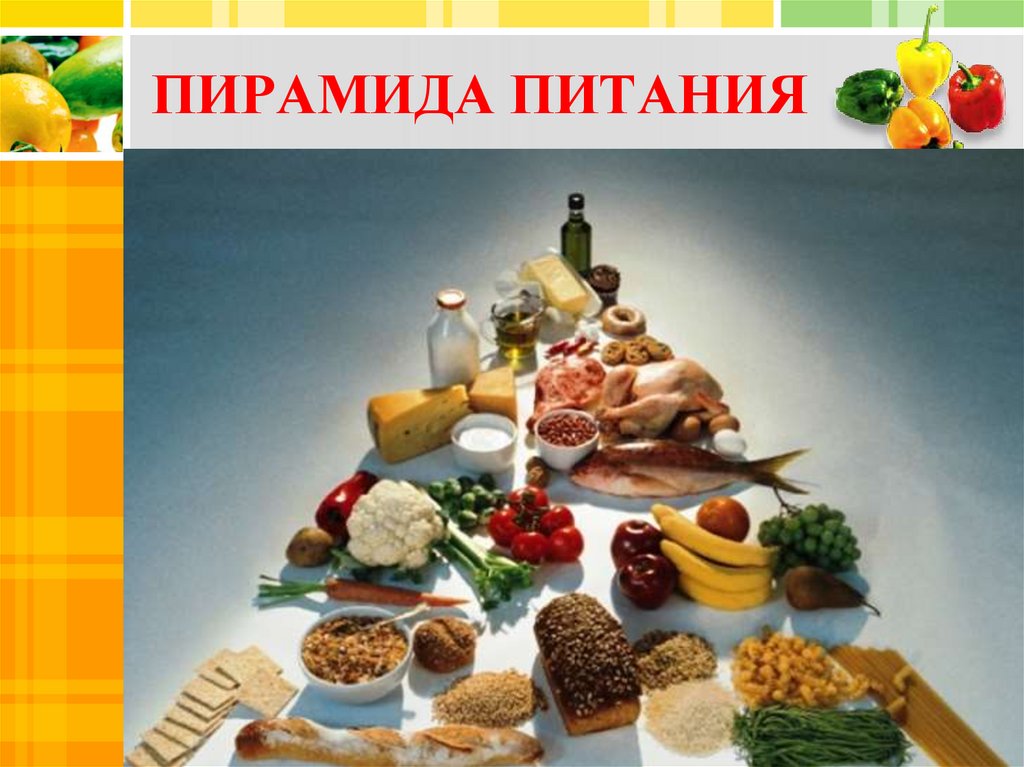 ПИРАМИДА ПИТАНИЯ