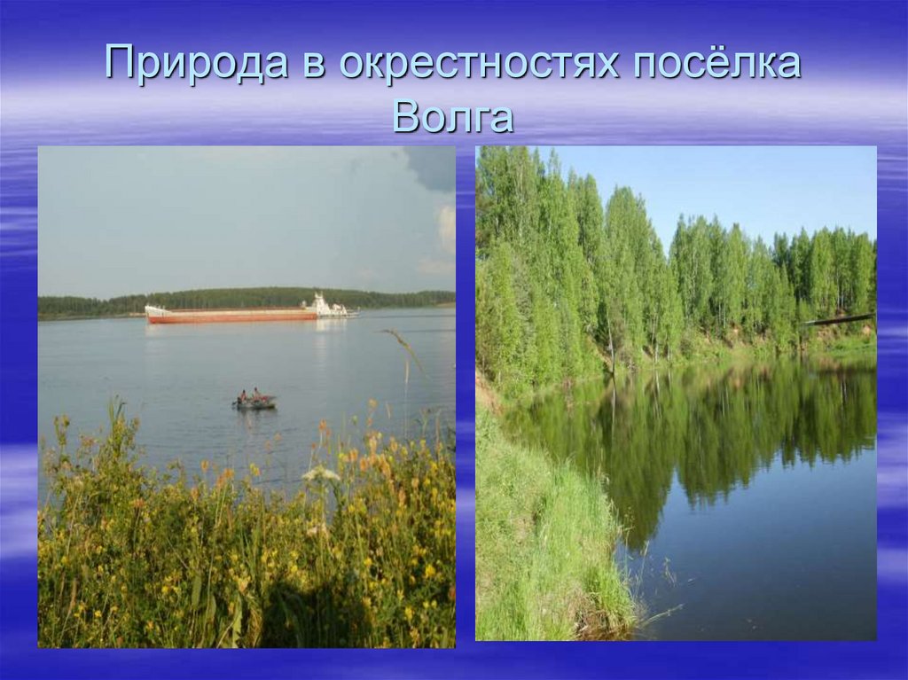 Природа в окрестностях посёлка Волга