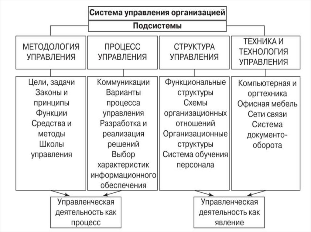 Организация ее структура и функции