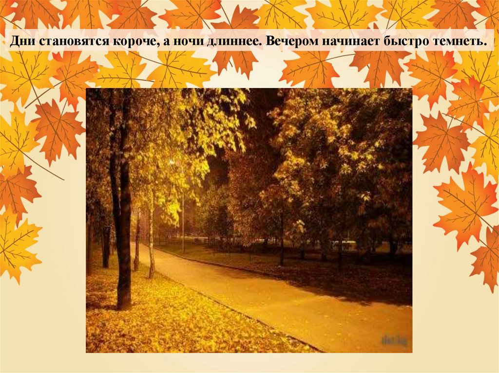 Летом дни становятся длиннее. Осенью дни становятся короче а ночи длиннее. Такая разная осень. Короче становился день. Дни короче ночи длиннее.