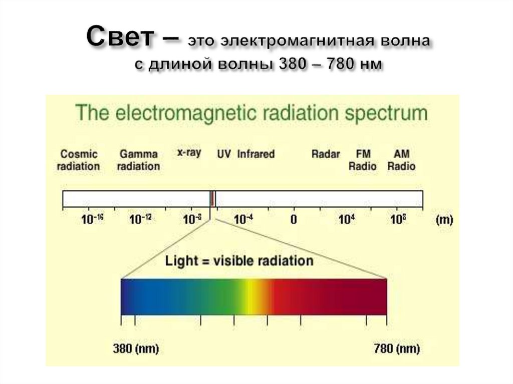Свет – это электромагнитная волна с длиной волны 380 – 780 нм