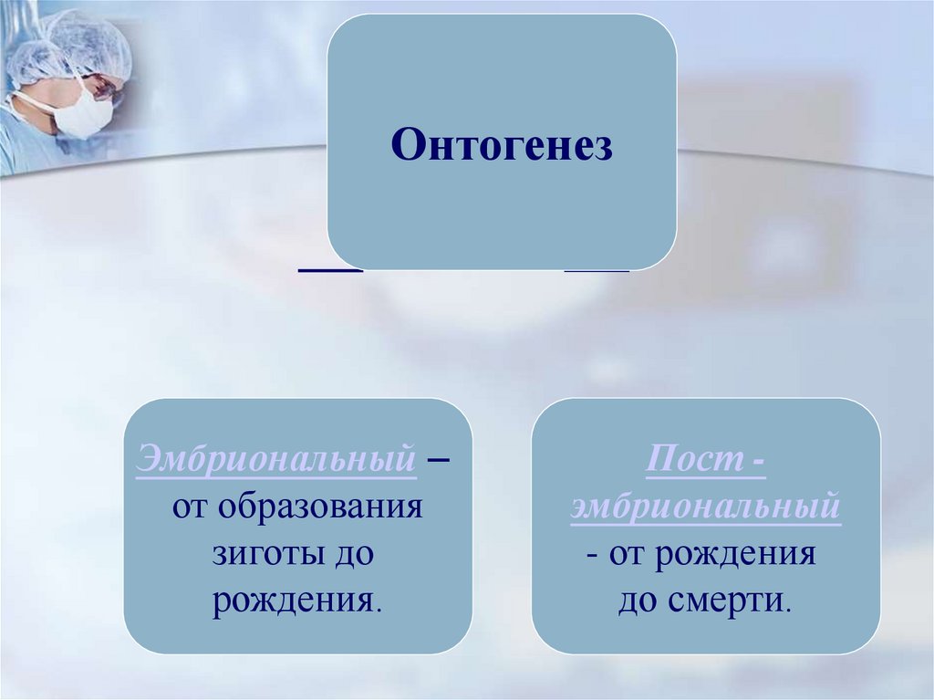 Что же такое онтогенез? - презентация онлайн
