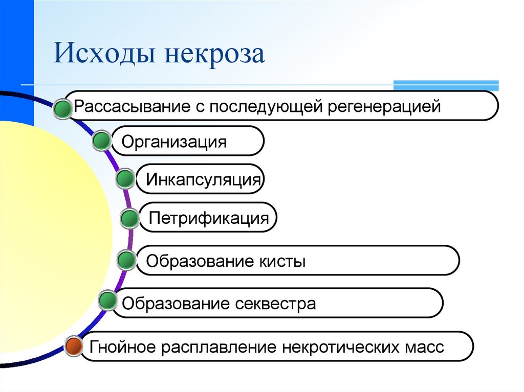 Исходы некроза схема