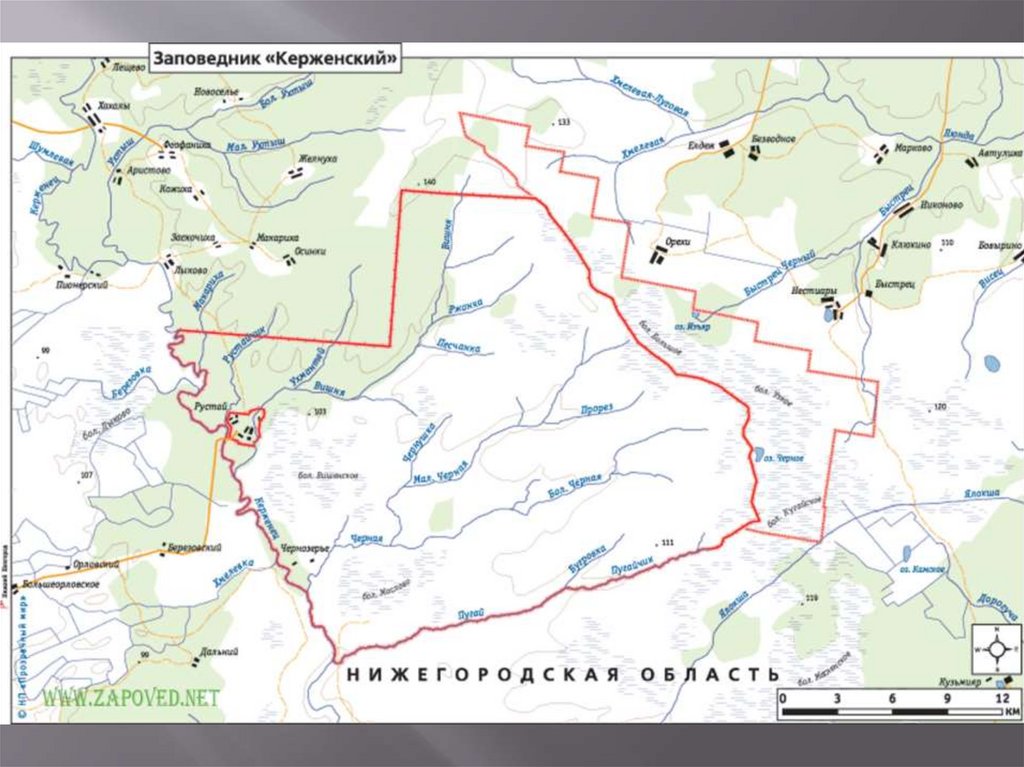 Презентация заповедник керженский заповедник