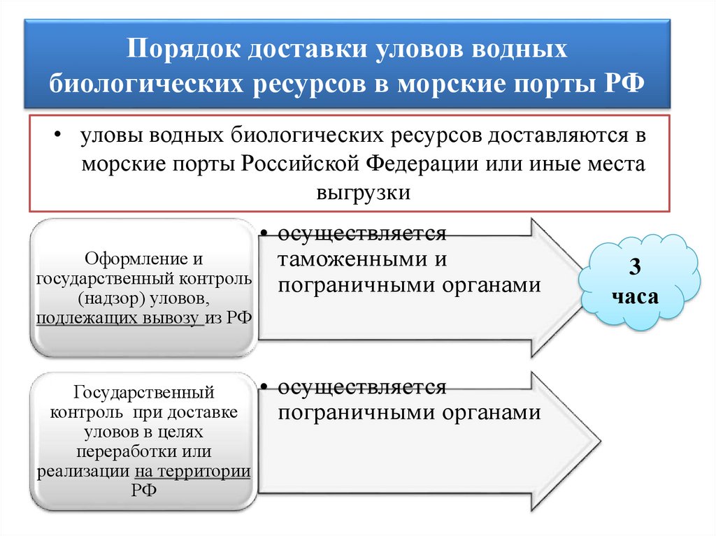 Особенности перемещения через таможенную границу