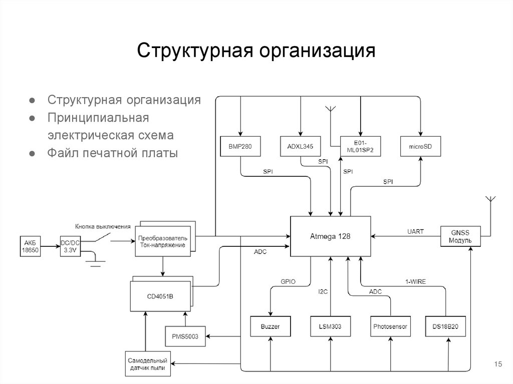 Структурная организация
