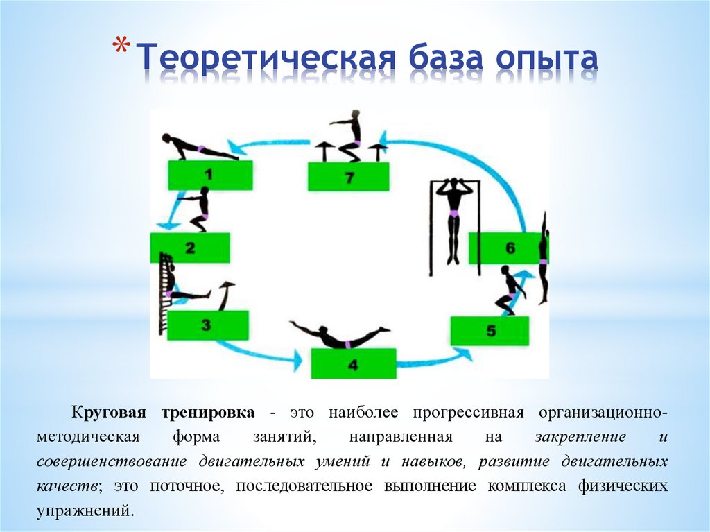 Кольцевой метод. Круговая тренировка. Принципы круговой тренировки. Основной принцип круговой тренировки. Круговая тренировка на силу.