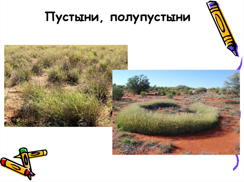 Пустыни, полупустыни