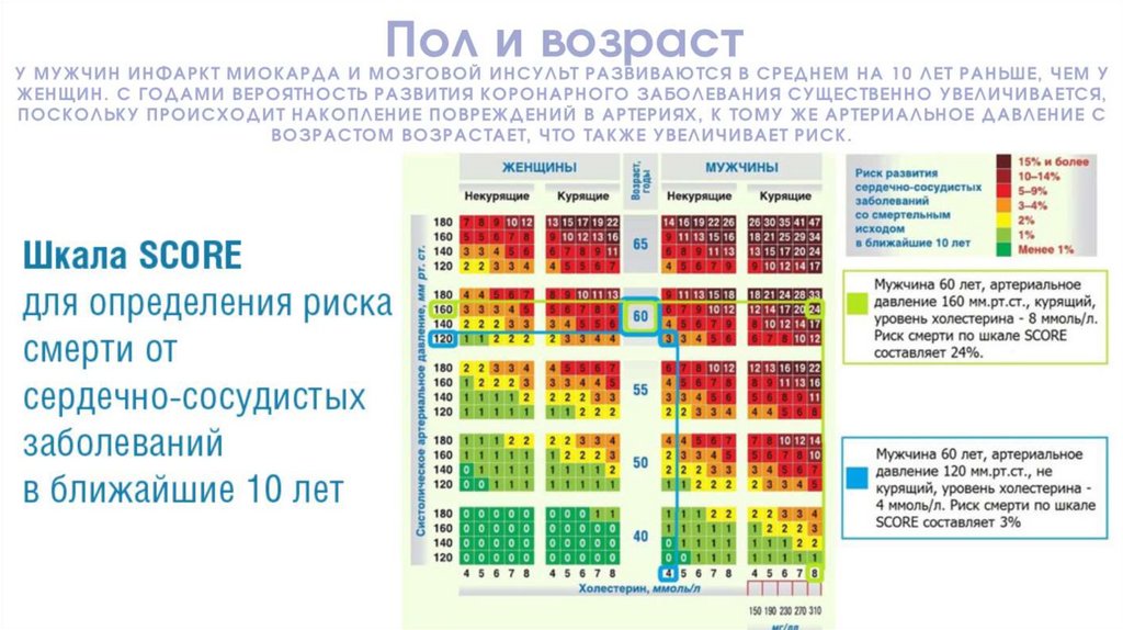 Шкала score презентация