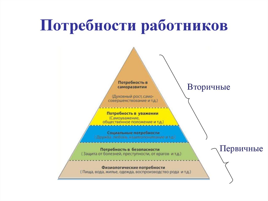 К низшим потребностям относятся