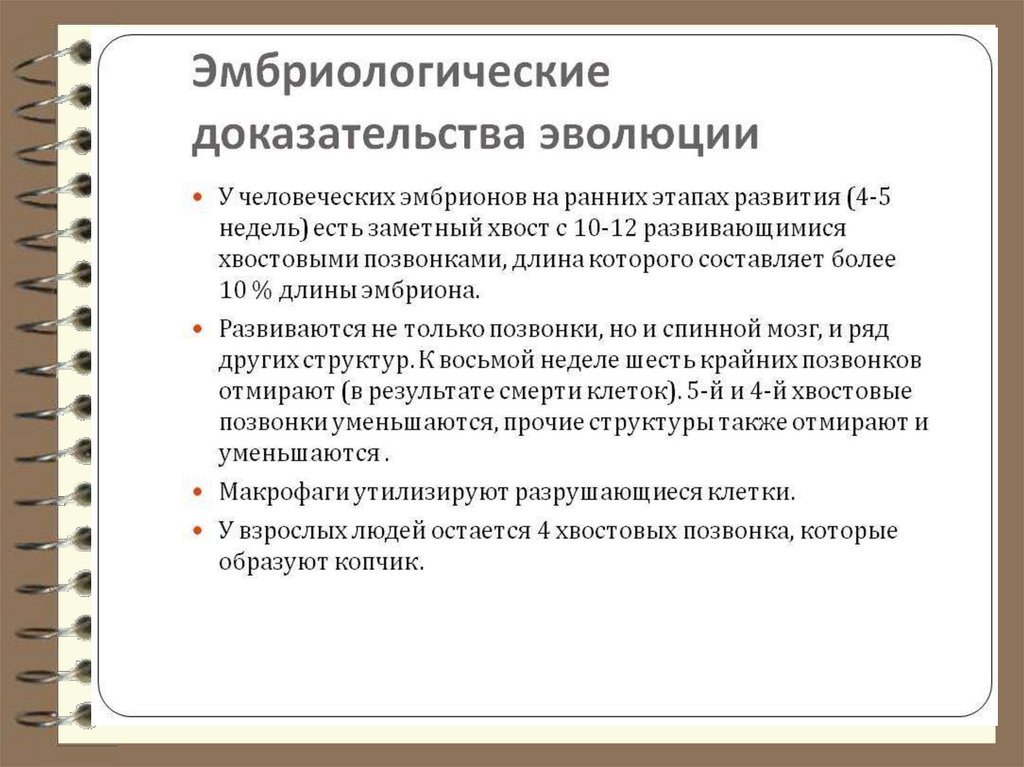 Доказательства происхождения человека от животных презентация 11 класс