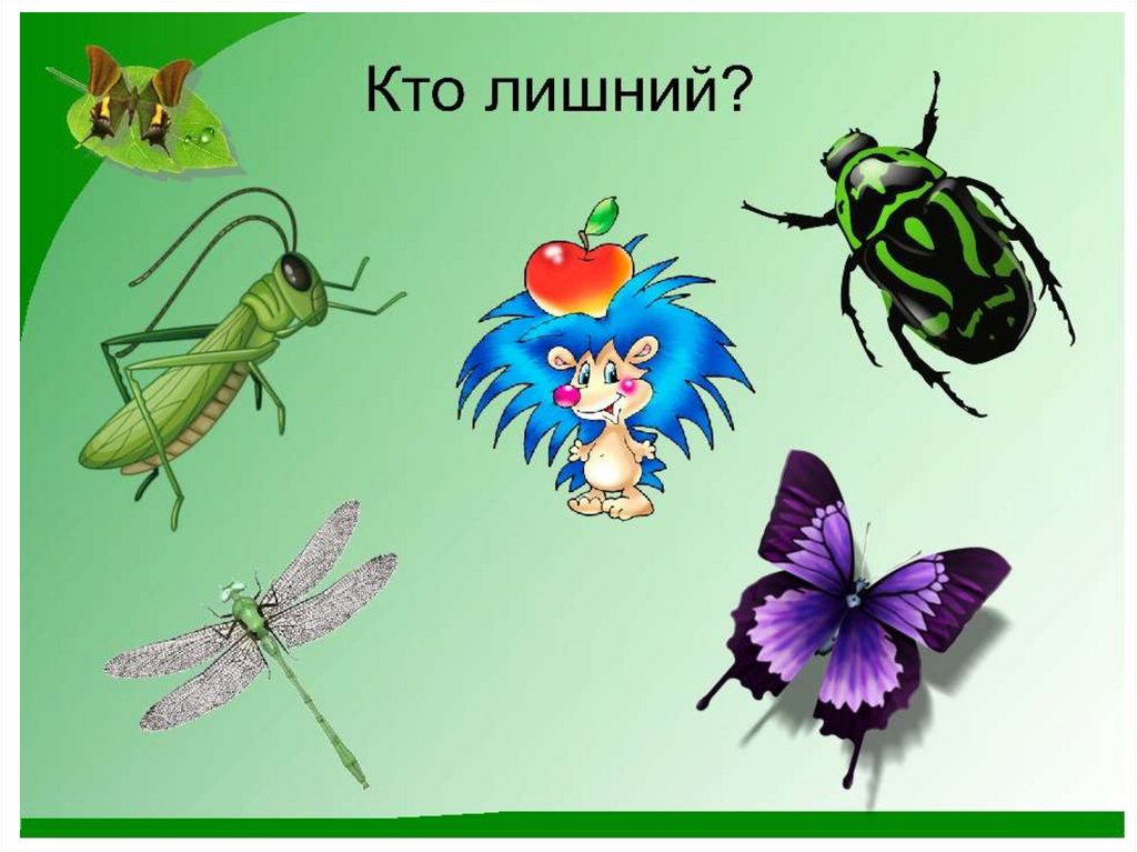 Занятие мир насекомых. Насекомые для ДОШКОЛЬНИКЛ. Тема насекомые для дошкольников. Насекомые рисунок. Изображение насекомых для детей.
