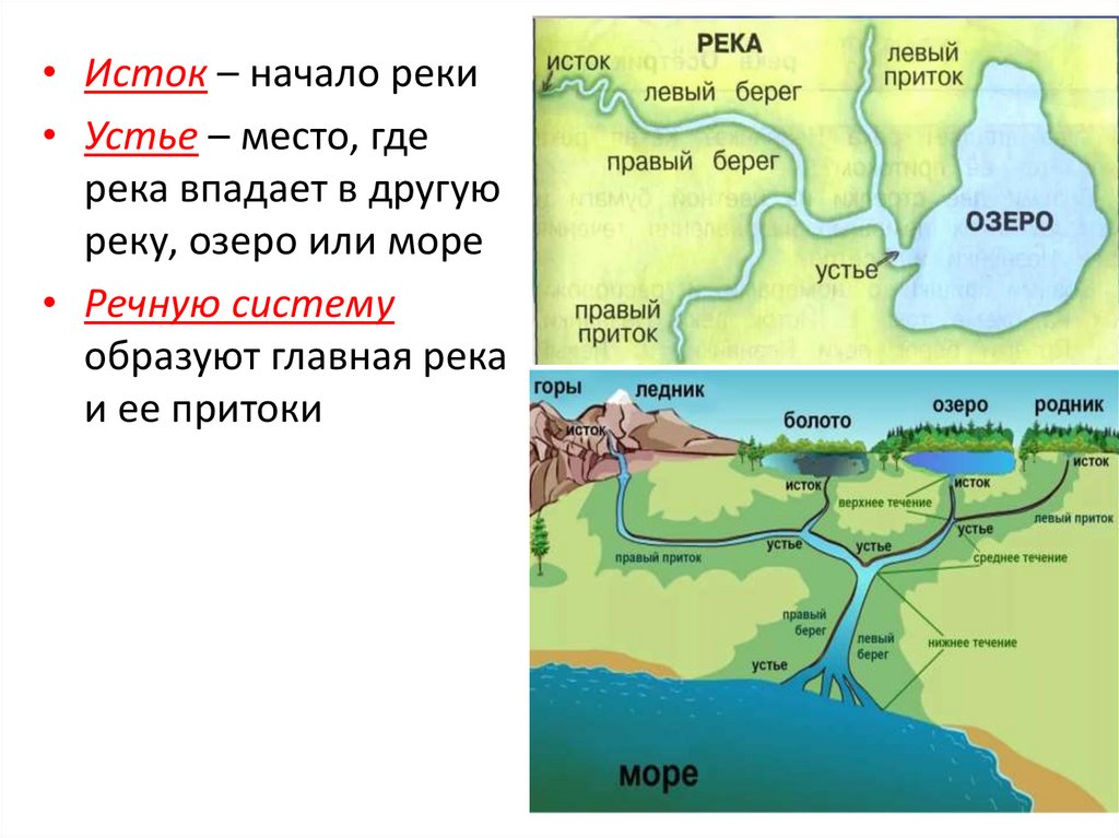 Гидросфера кровеносная система земли