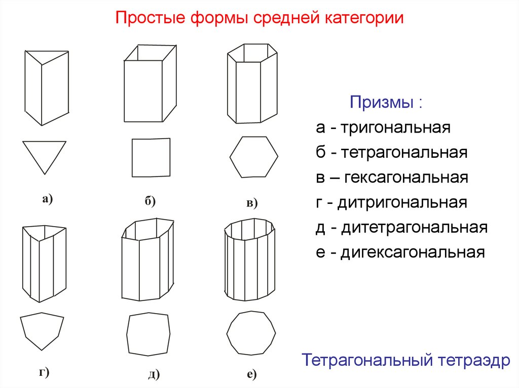 Средняя форма