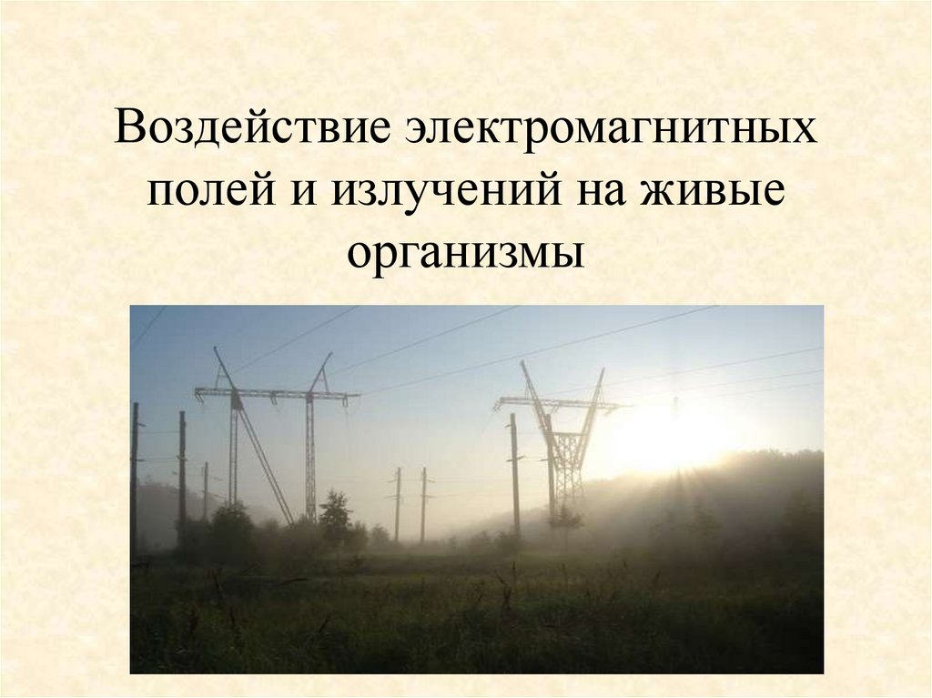 Презентация воздействие электромагнитного излучения на организм человека