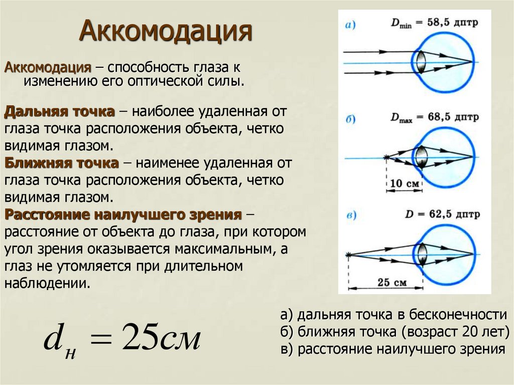 Презентация глаз как оптическая система 7 класс