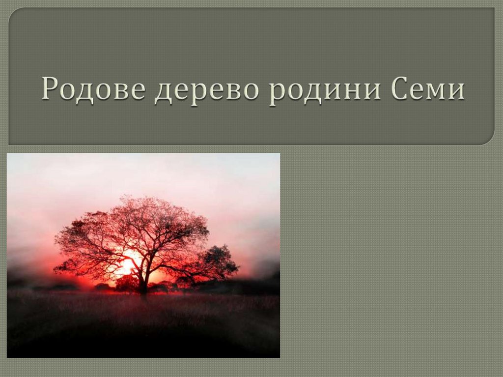 Родове дерево родини Семи - презентация онлайн