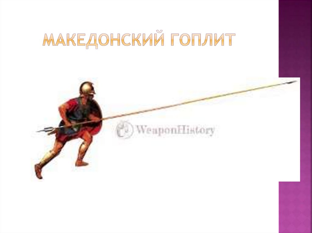 Македонский гоплит
