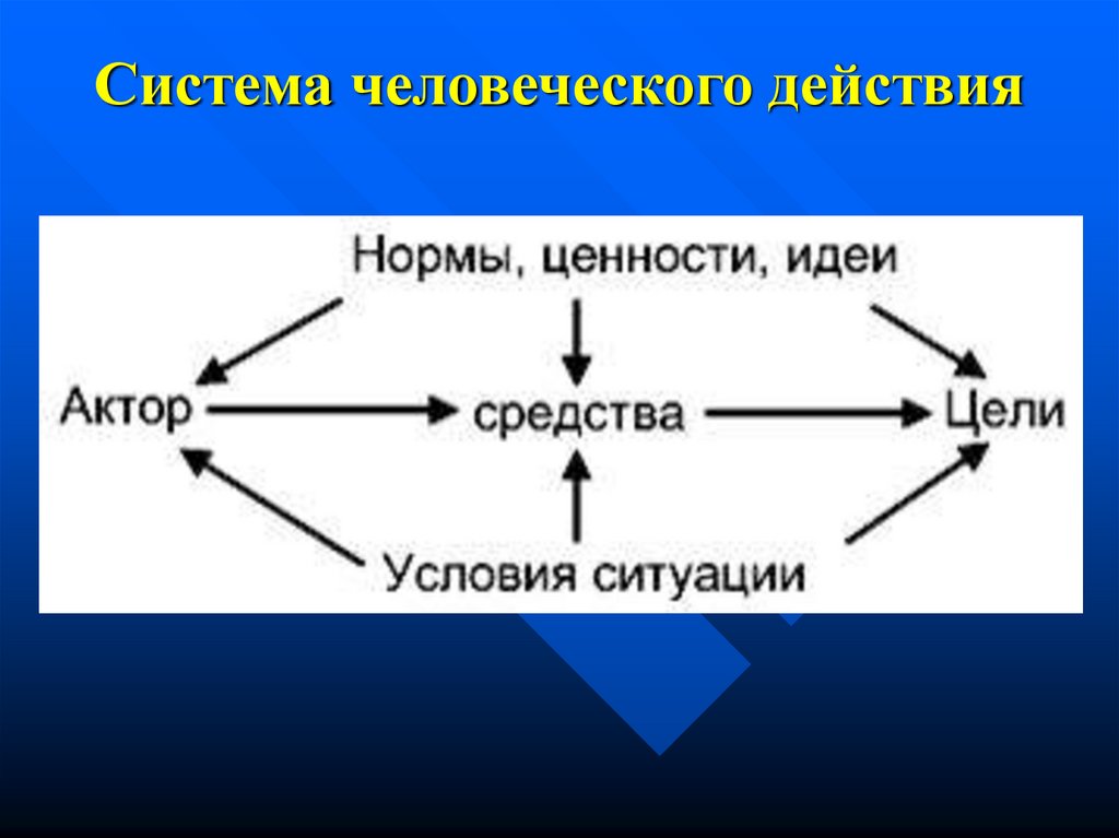 Человеческое действие