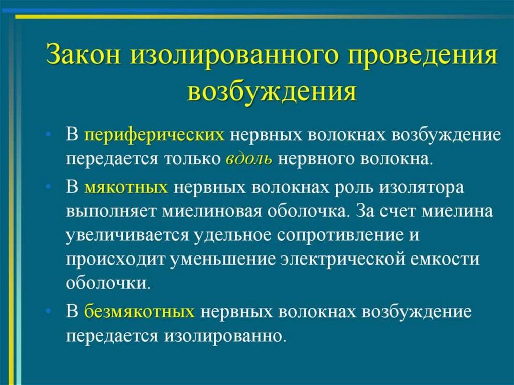 Законы проведения. Закон изолированного проведения возбуждения. Закон изолированного проведения возбуждения по нервному волокну. Законы проведения возбуждения по нервным волокнам. Способы проведения возбуждения по нервным волокнам.