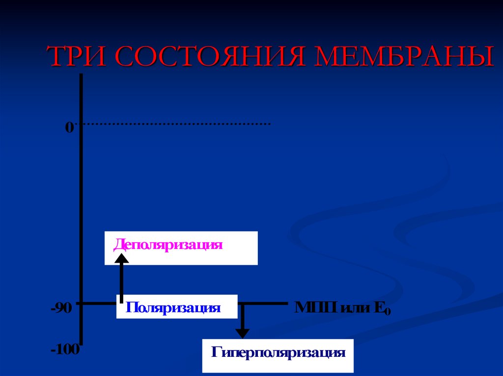 ТРИ СОСТОЯНИЯ МЕМБРАНЫ