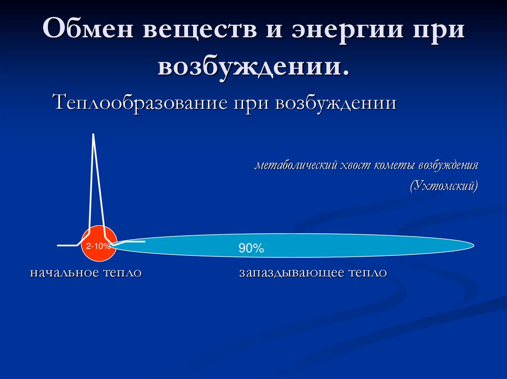 Обмен веществ и энергии при возбуждении.