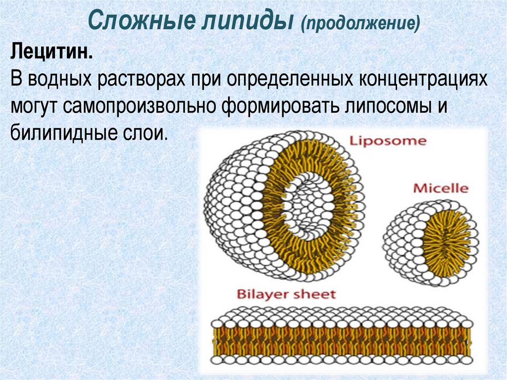 Выберите простые липиды