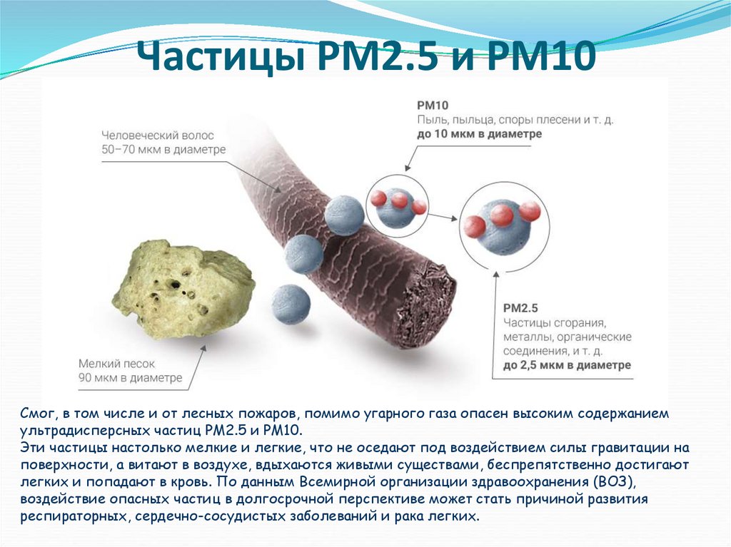 Частицы PM2.5 и PM10