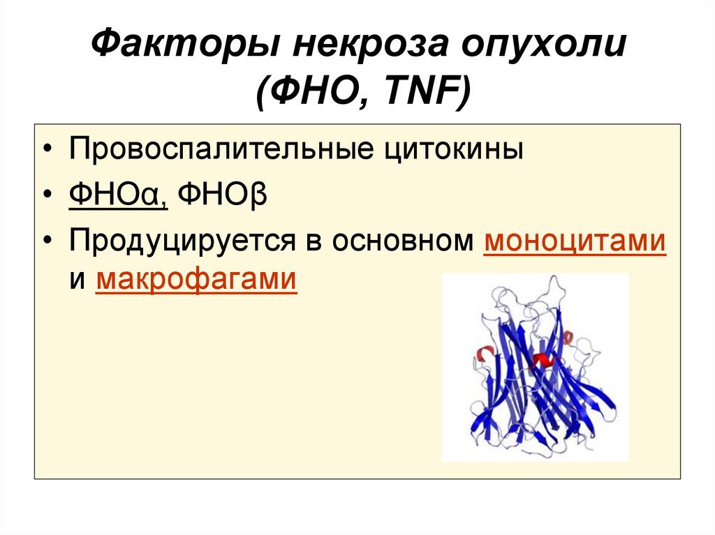 Рецепторы фактора некроза опухоли