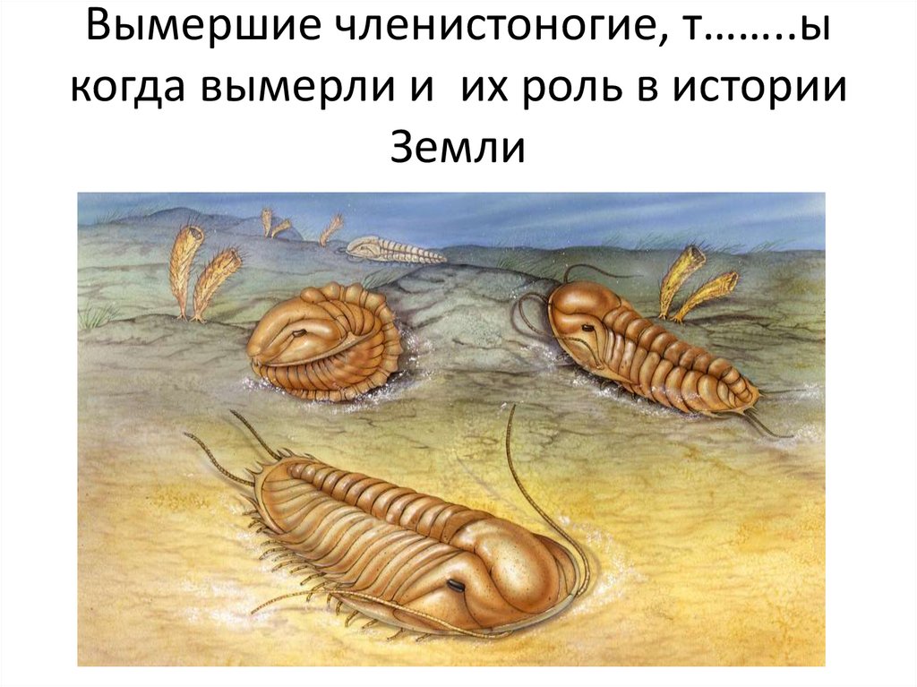 Определение окаменелостей животных - презентация онлайн