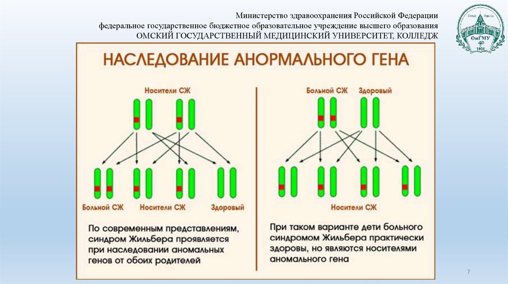 Биохимические показатели при синдроме жильбера. Синдром жильбера частота встречаемости. Синдром жильбера генетика. Жильбер та7 та7. Синдром жильбера результаты анализов.