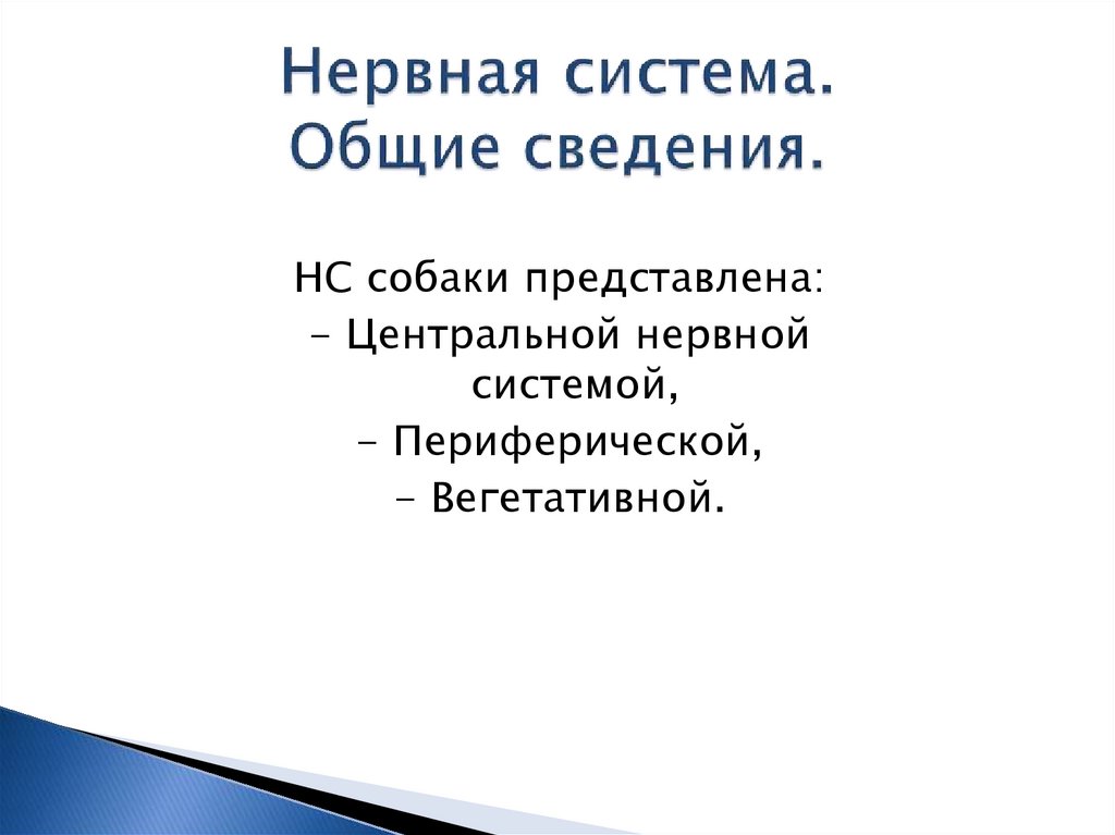 Нервная система. Общие сведения.