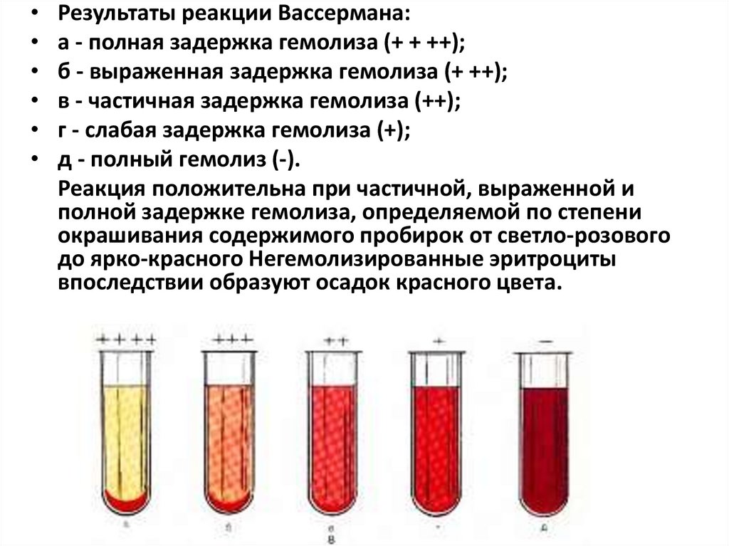 Лизис это в медицине