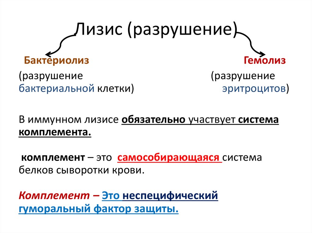 Лизис это в медицине