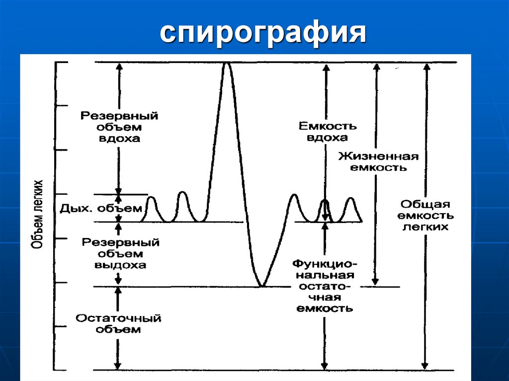 Определение жизненной емкости легких спирометрия. Спирография физиология. Физиология дыхания. Спирометрия и спирография. Спирография картинки.