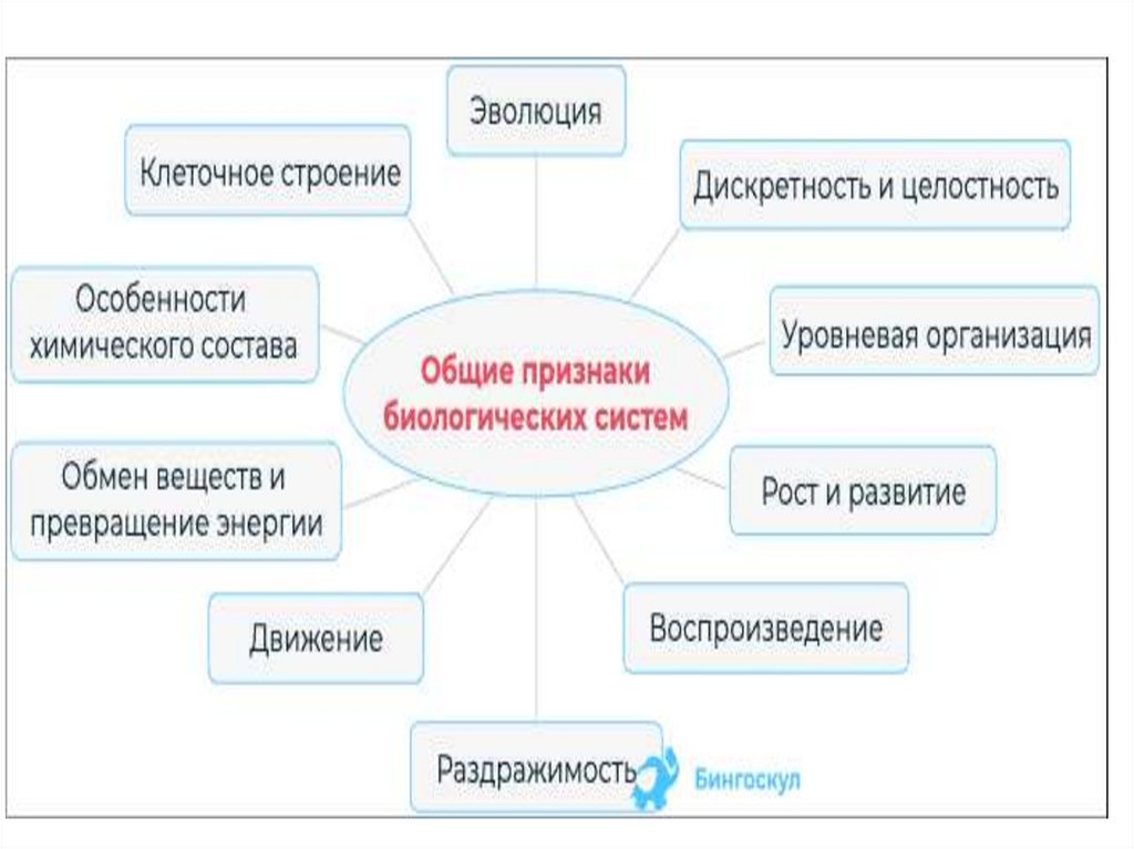 Организация биологических систем презентация 10 класс