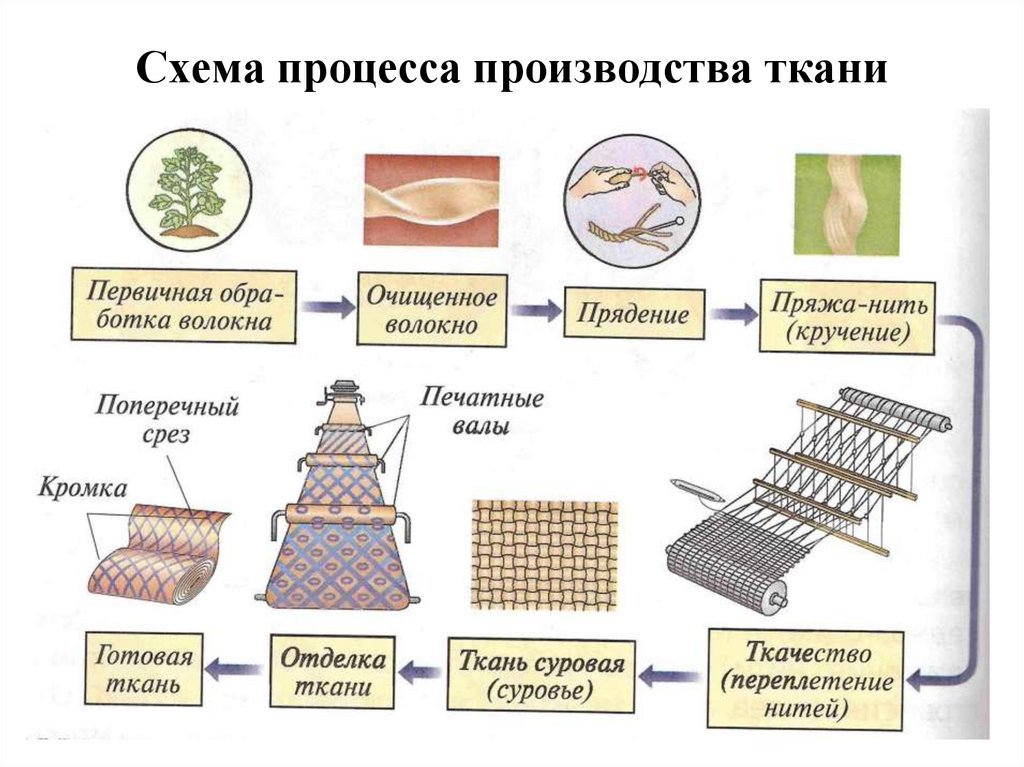 Схема получения ткани растение волокно