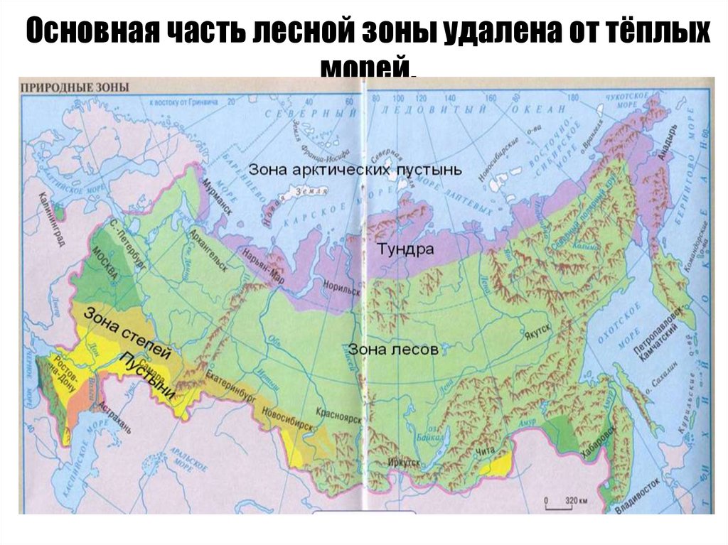 Основная часть лесной зоны удалена от тёплых морей.