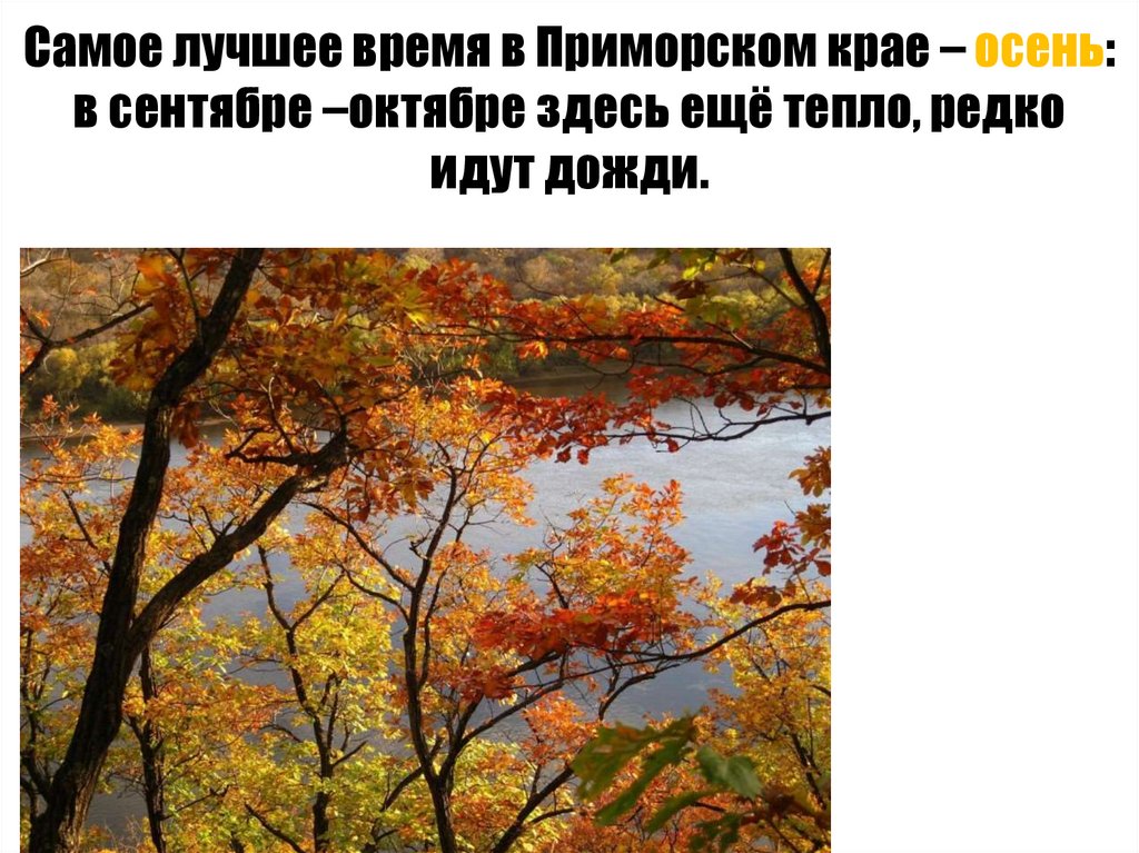 Самое лучшее время в Приморском крае – осень: в сентябре –октябре здесь ещё тепло, редко идут дожди.